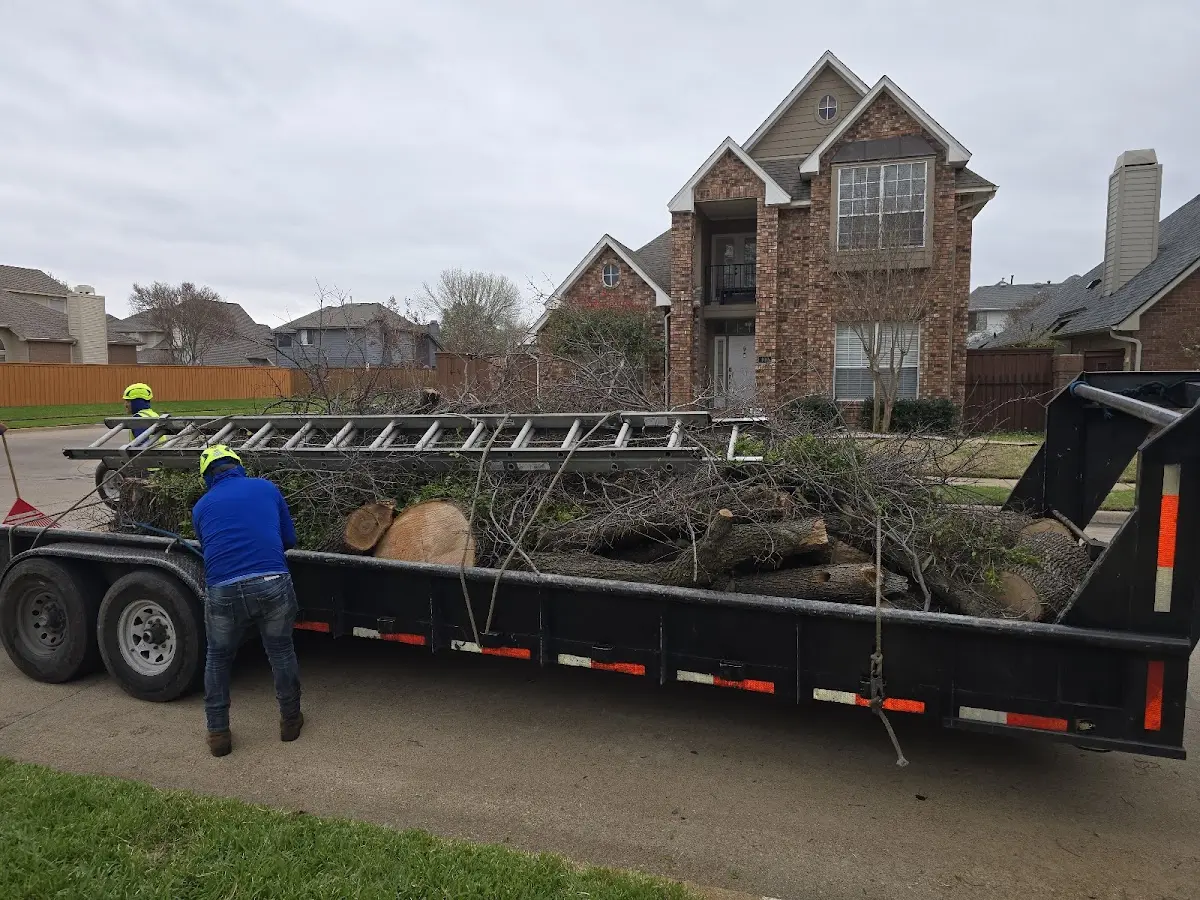 Expert Tree Fertilization with proper safety equipment in Bell City
